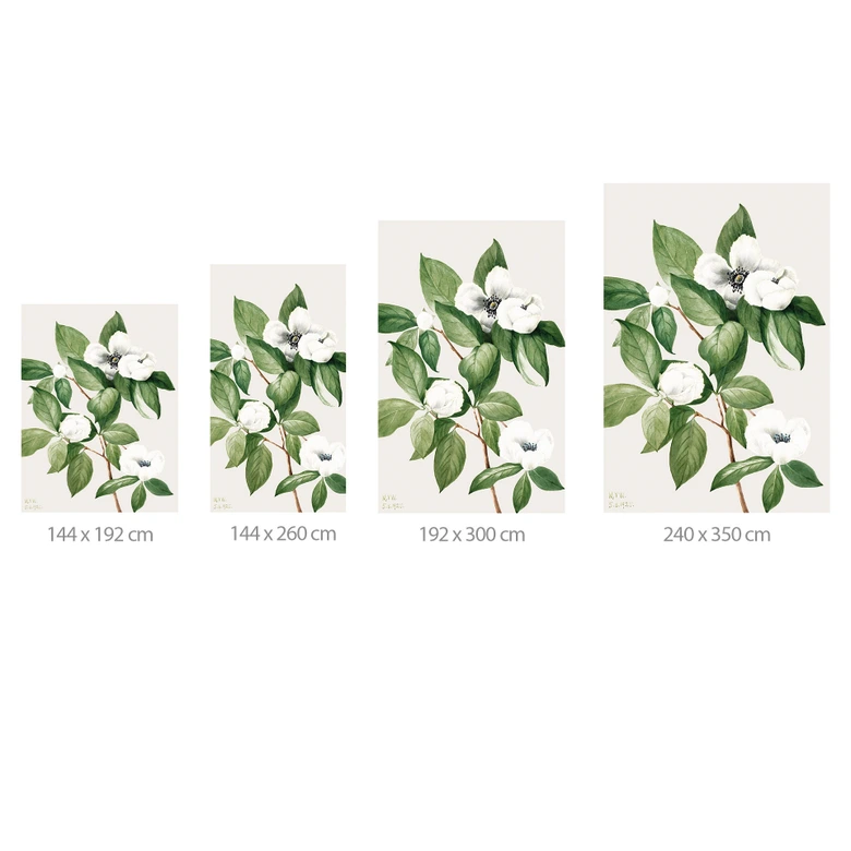 Fotomural botánico de una camelia falsa - Walcott 