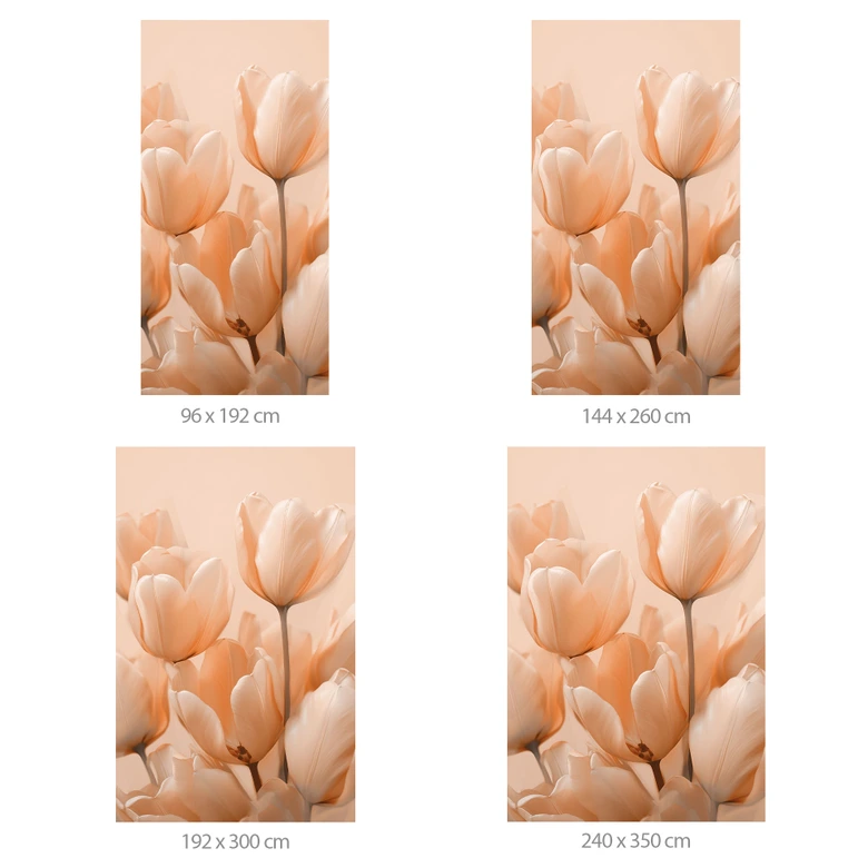 Fototapeta z tulipanami w kolorze brzoskwini - Fototapeta w kwiaty - Treechild 