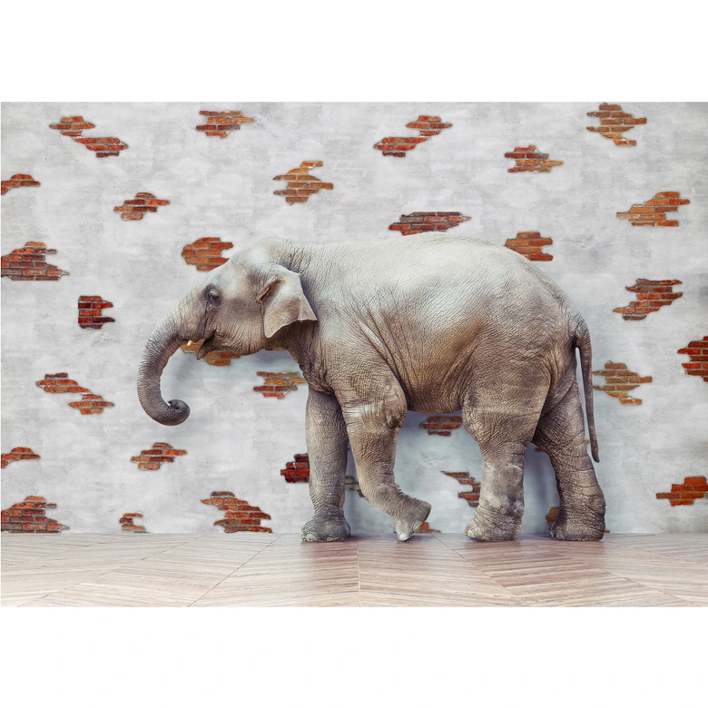 Fototapete The Walking Elephant 