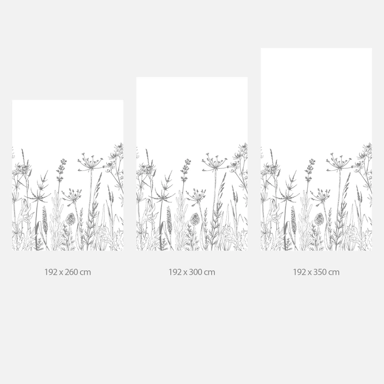 Fototapete Feldblumen Illustration 