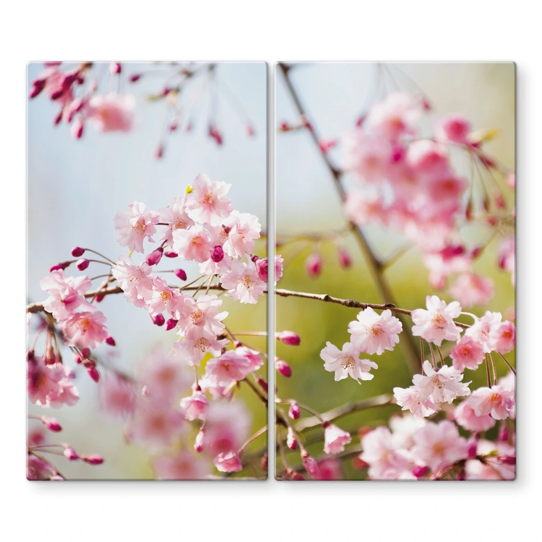Stove cover plate with flowers - Cherry Blossoms 