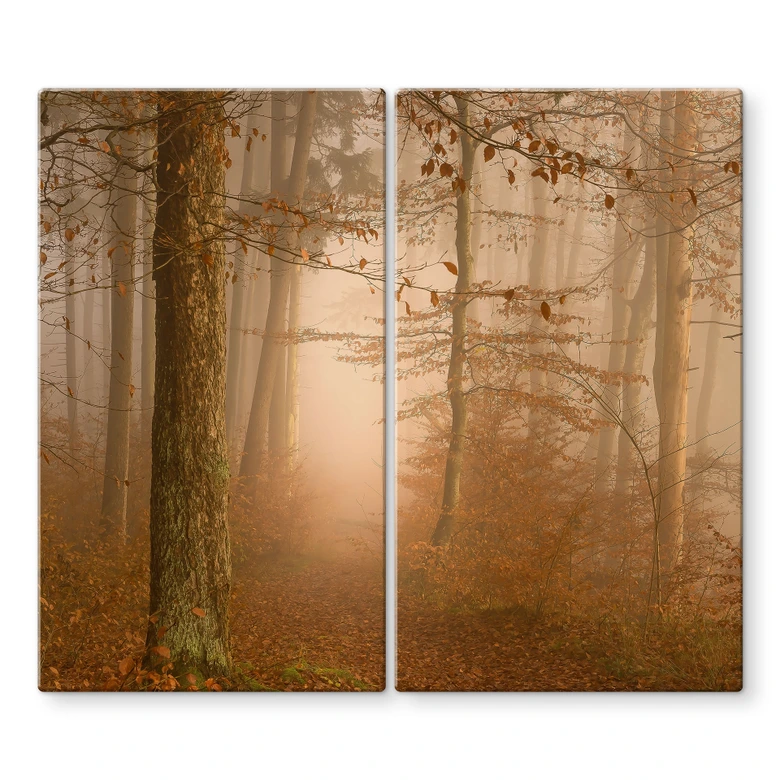 Plaque de recouvrement pour cuisinière Brume et lumière dans la forêt automnale - Maier 