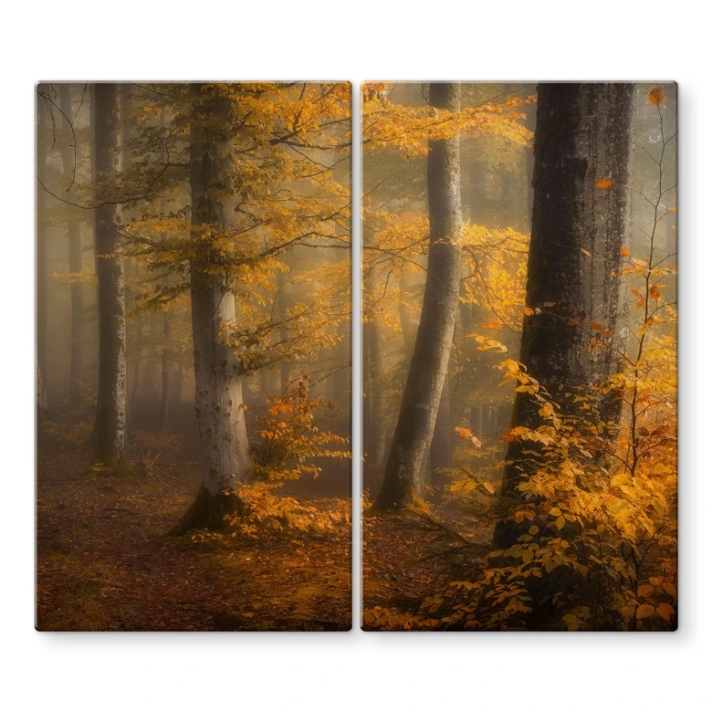 Plaque de recouvrement pour cuisinière Feuilles dorées dans la forêt brumeuse - Maier 