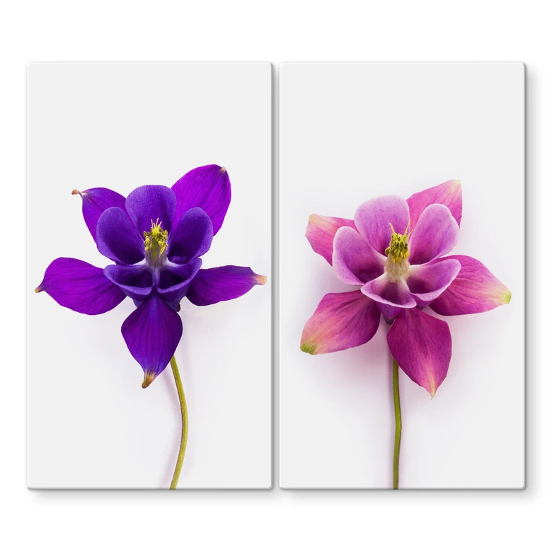 Stove cover plate Pink flowers 