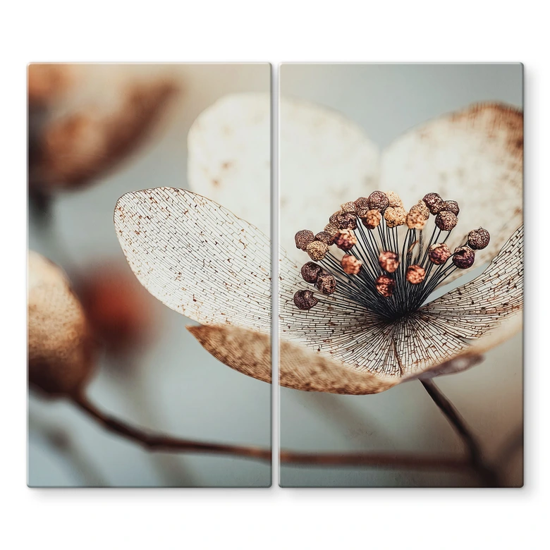 Herdabdeckplatte Boho Trockenblume Makro - Treechild 