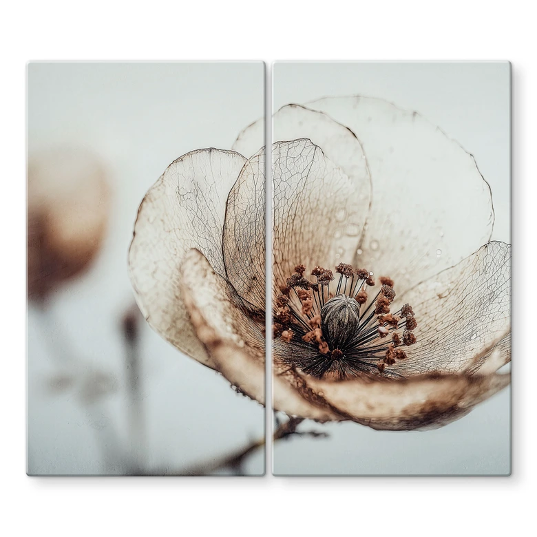 Herdabdeckplatte Trockenblüte Beige Naturpoesie - Treechild 