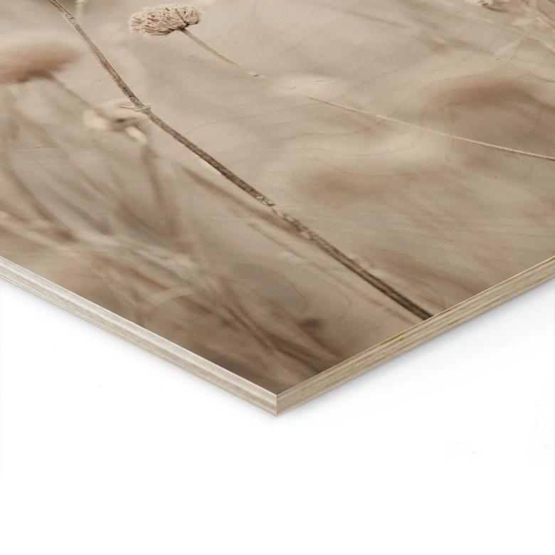 Holzbild Getrocknete Blüten in sanften Tönen - Annie 