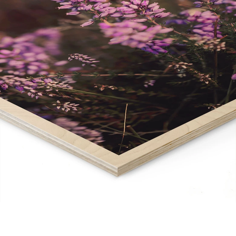 Holzbild Lila Heideblüte im warmen Licht - Annie 