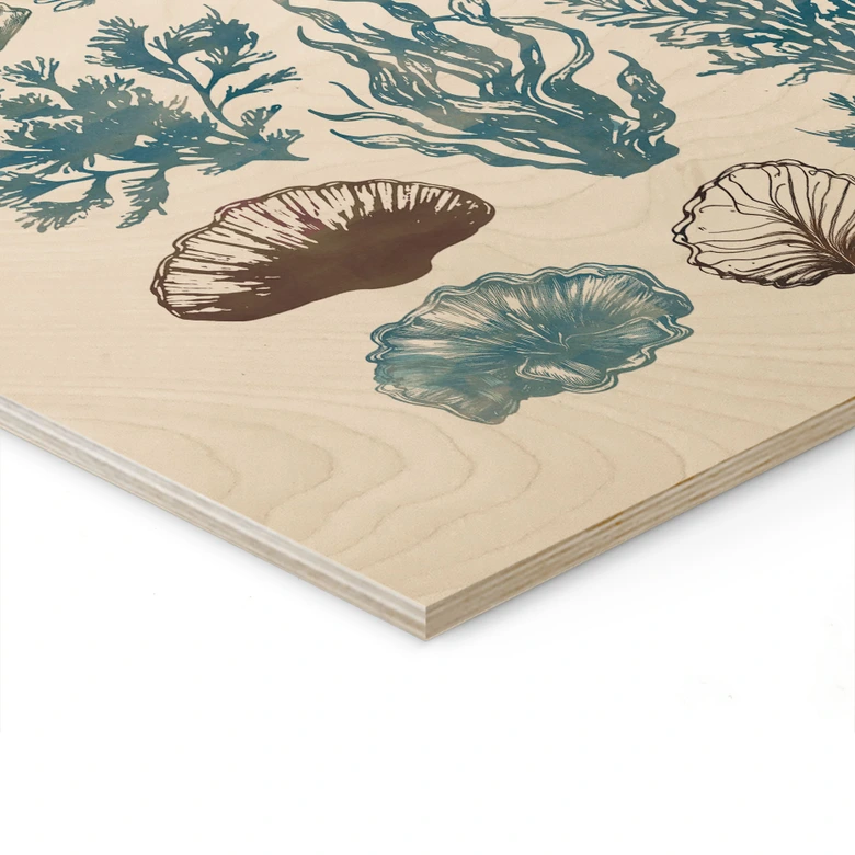 Träposter Filigran alger och snäckor - casa cartissi 