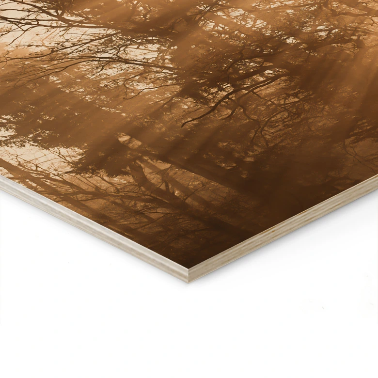 Holzbild Lichtstrahlen im Wald - Eisenmann 