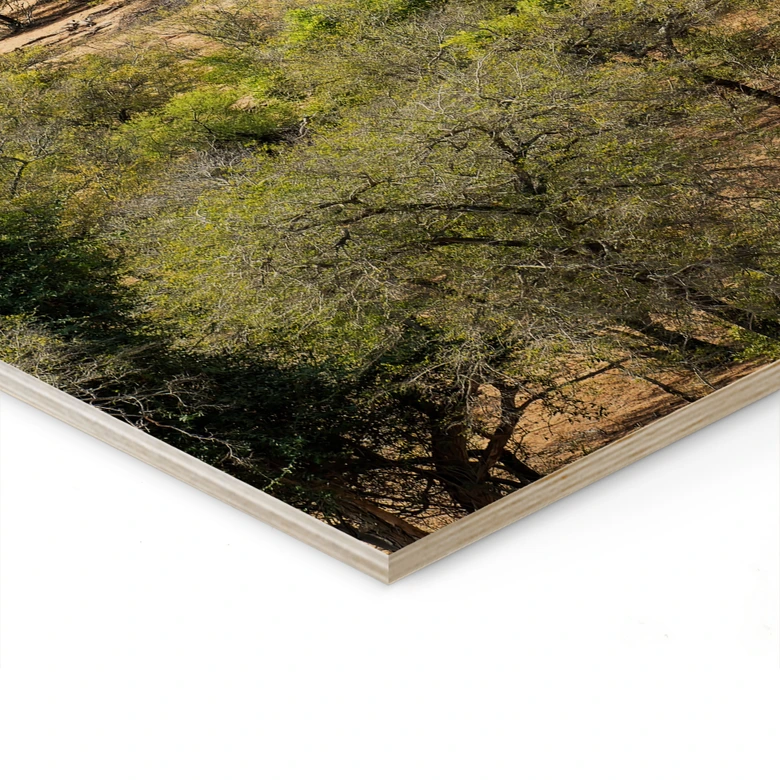 Tableau sur bois Paysage de savane en Afrique - Hugonnard 