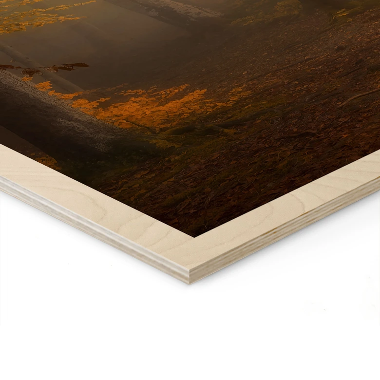 Holzbild Goldene Blätter im nebligen Wald - Maier 