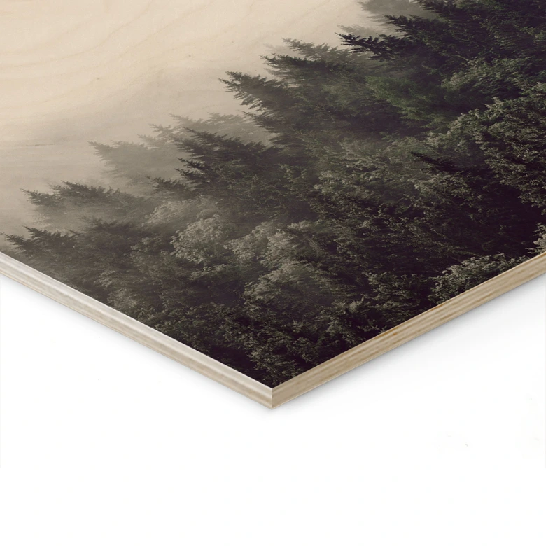 Holzbild Nebel im Wald 02 