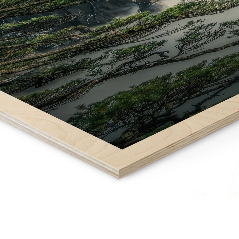 Holzbild Kiefernwald im Huang Shan Gebirge - NingYun Ye 