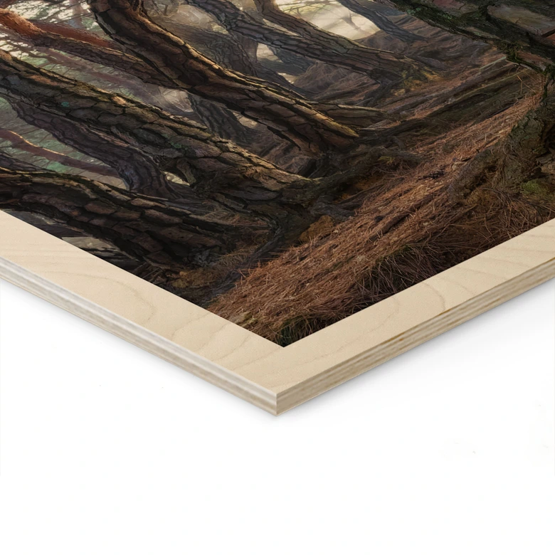 Cuadro de madera pinar sagrado - Ryu 