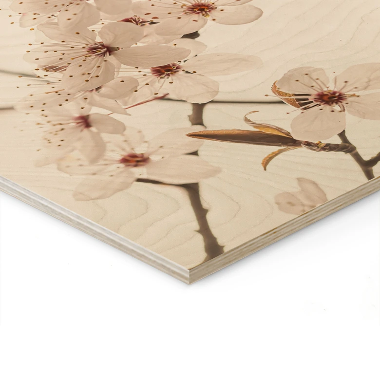 Holzbild Zweig mit weißen Kirschblüten - Sisi & Seb 