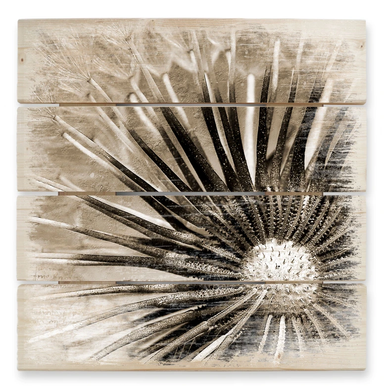 Holzbild Pusteblumen-Poesie - 40x41,5 cm 