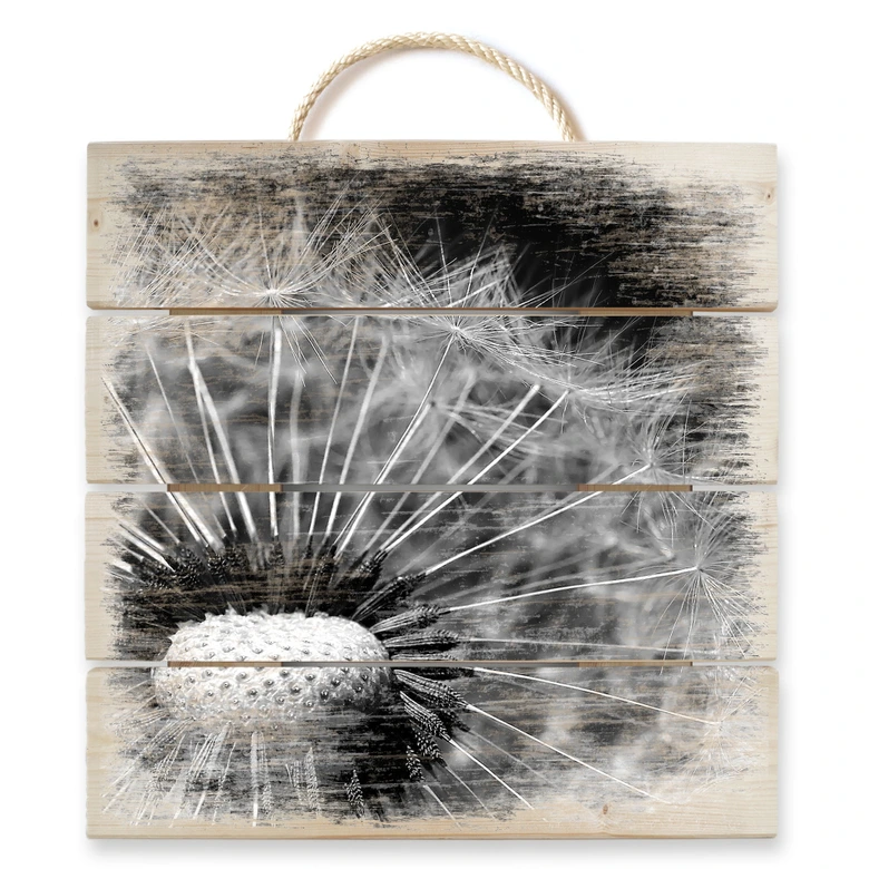 Holzbild Dandelion - 40x41,5 cm 