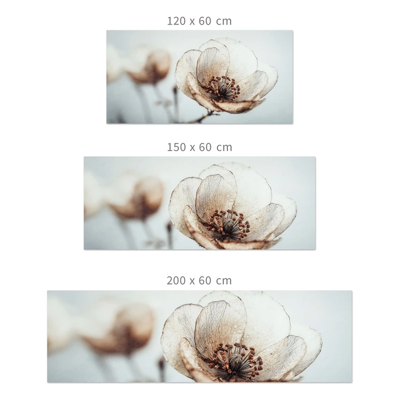 Küchenrückwand Trockenblüte Beige Naturpoesie - Treechild 