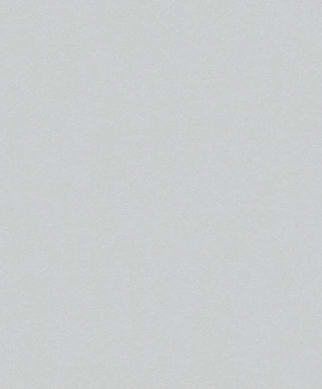 Papier peint intissé SCHÖNER-WOHNEN, papier peint unitaire gris 
