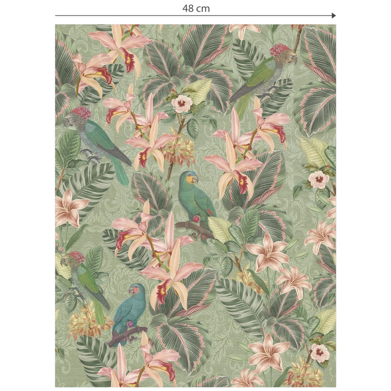 Patterned Wallpaper Jungle with Parrots Green - Bloomery Decor 