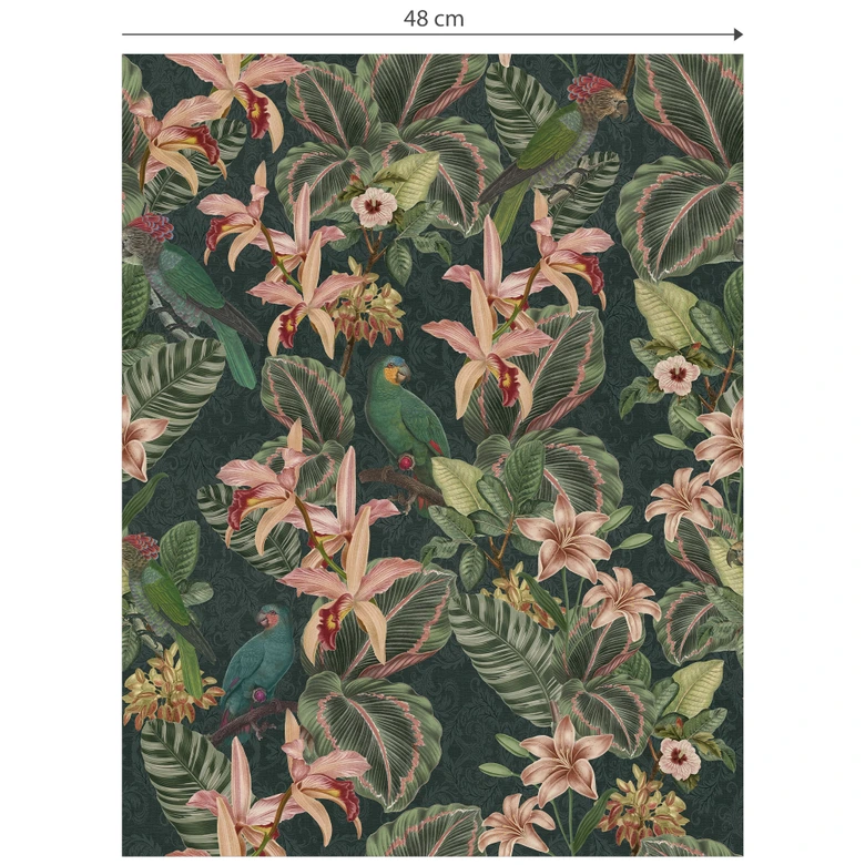 Tapet med mønster fra junglen med papegøjer i natgrønt - Bloomery Decor 