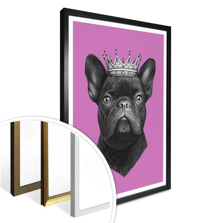 Poster Korenkova - King French Bulldog pink 