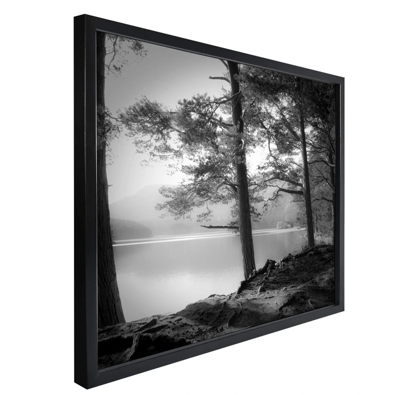 Póster Fuhg - Vista del lago 