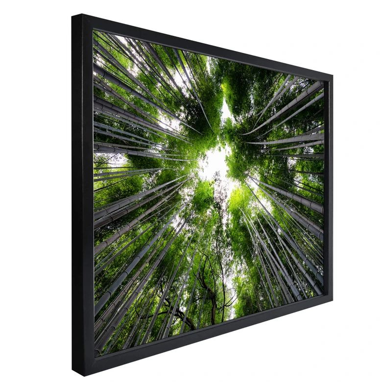 Poster Hugonnard - Wald in Japan 