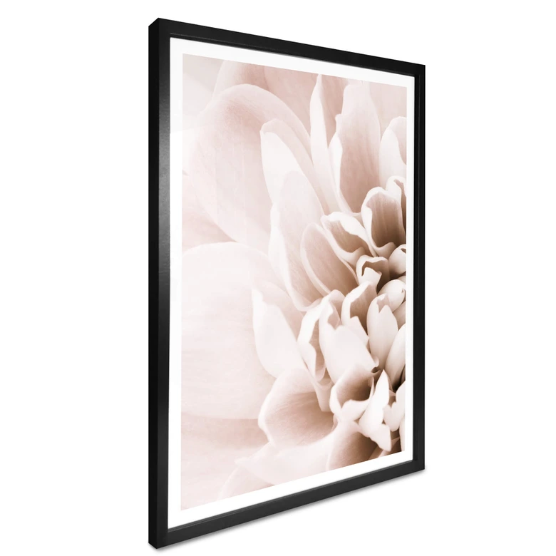 Plakat - 1X Studio - Flowers 
