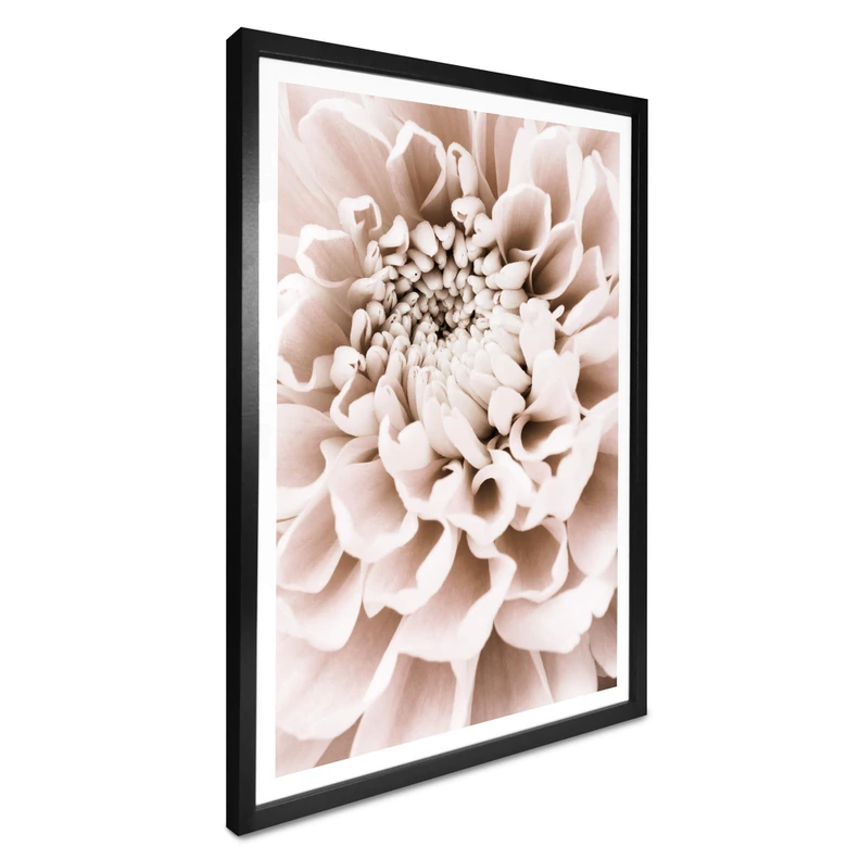 Poster 1X Studio - Chrysantheme 