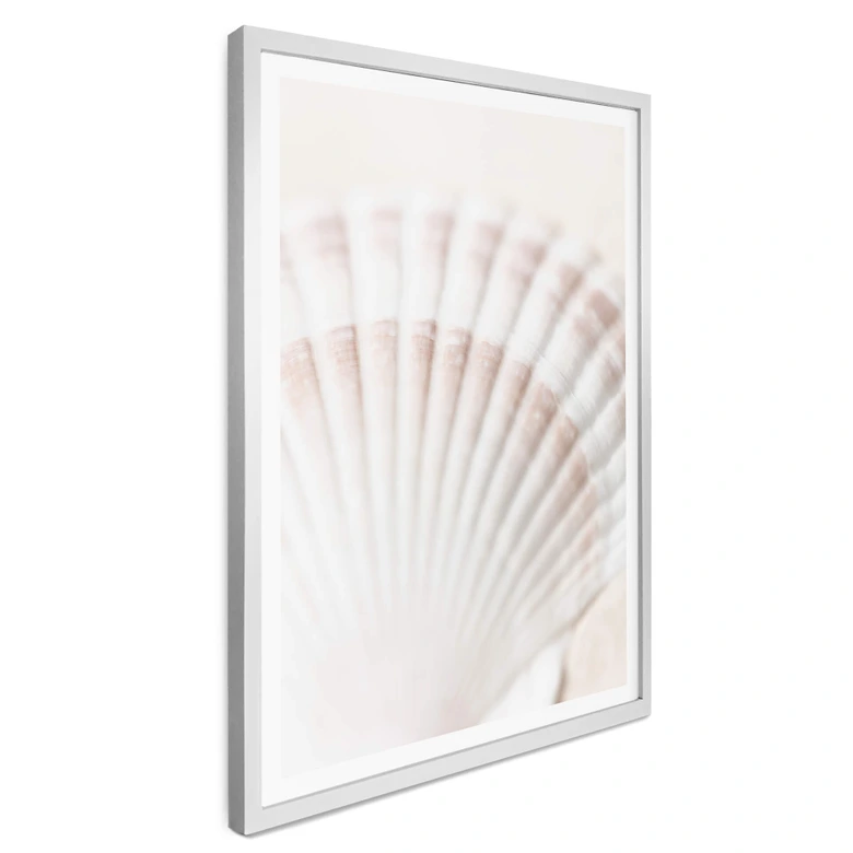 Poster 1X Studio - Jakobsmuschel 