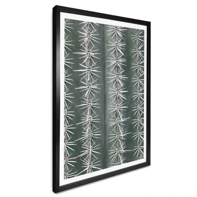 Poster 1X Studio - Kaktus 