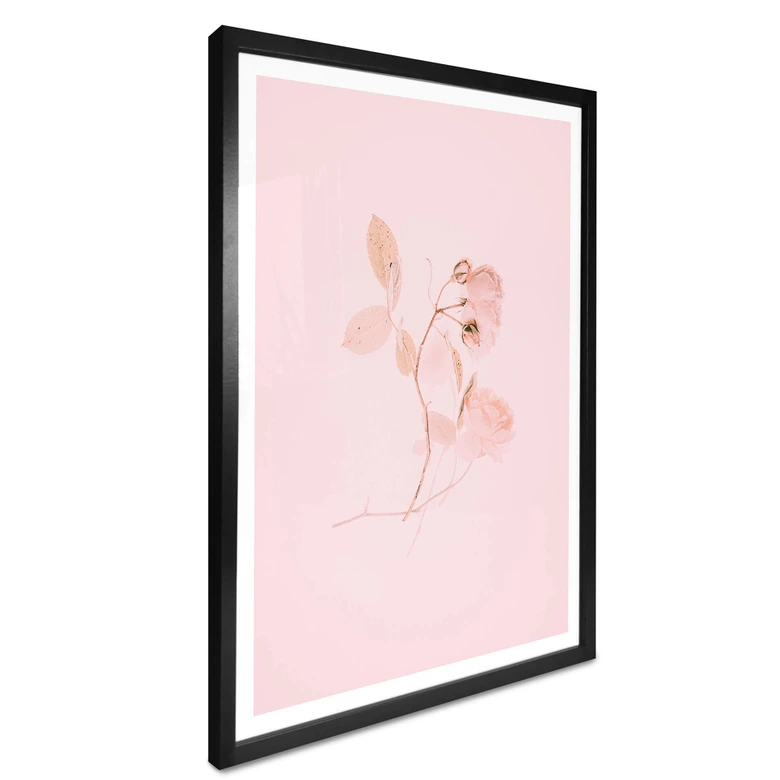 Plakat Annie - La vie en rose 