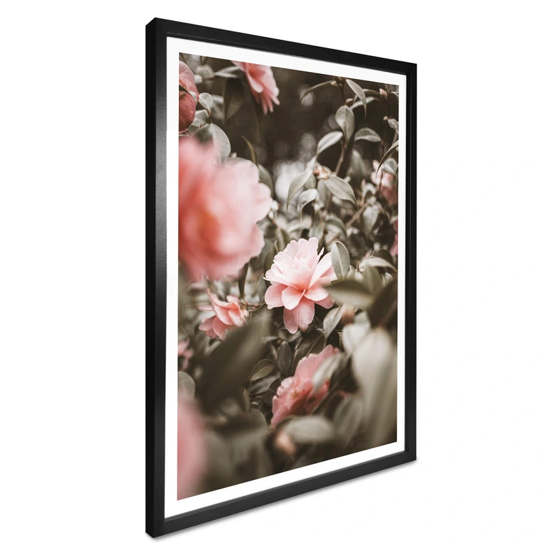 Poster Annie - Rosenblüte 