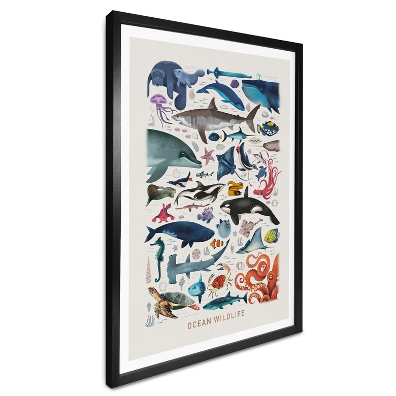 Poster Braun - Ocean Wildlife 