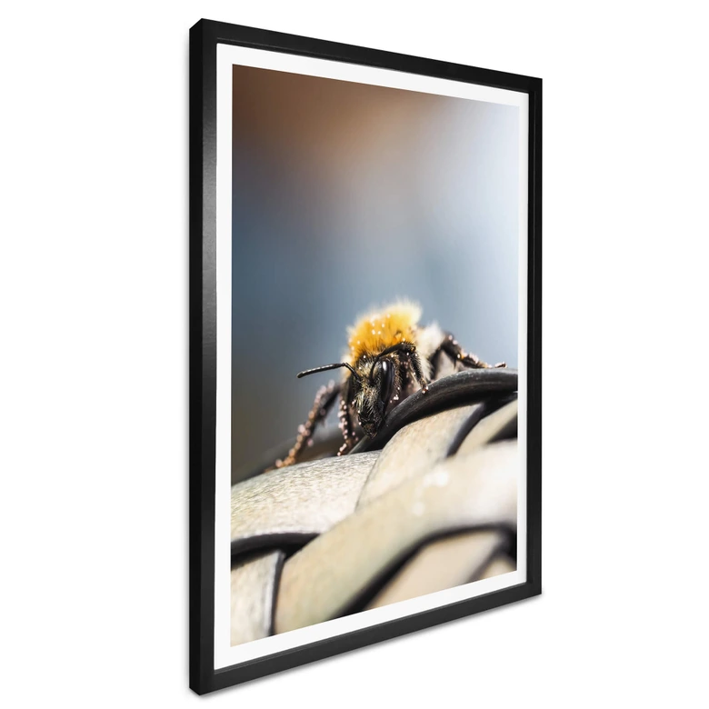 Poster Brown - Abeille 