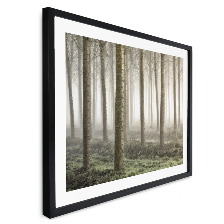 Plakat Carozzi - Bajkowy las w porannej mgle 