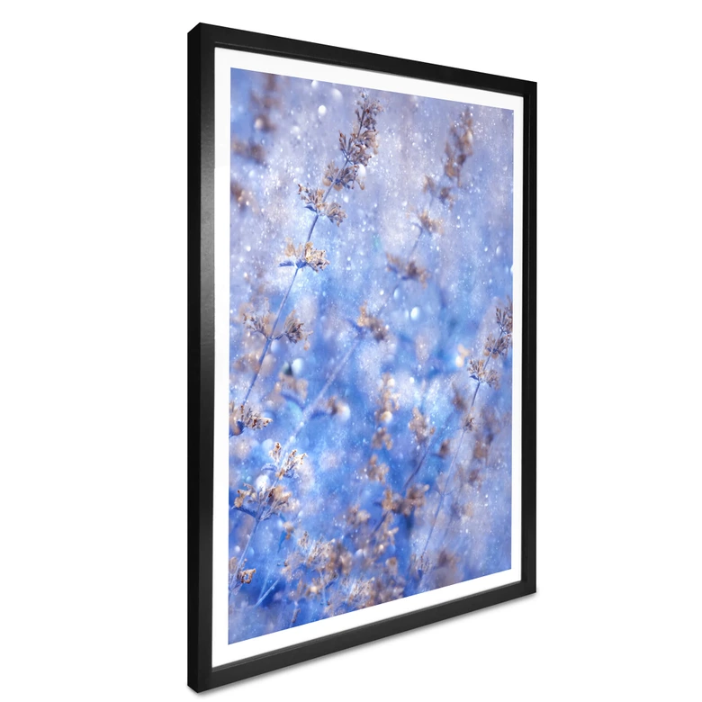 Poster Devos - Früher Winter 