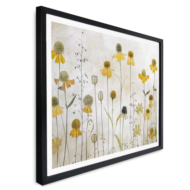 Plakat Disher - Słonecznik 