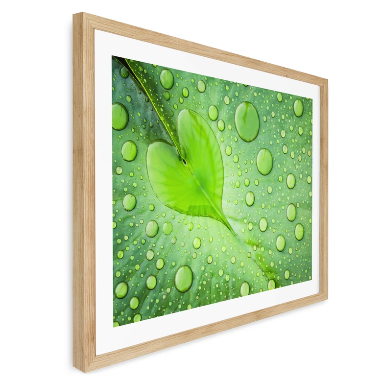 Poster Hart van Regen 