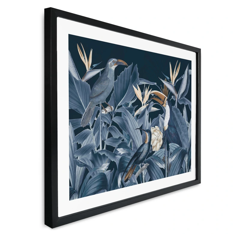 Poster Tropische Vögel im nächtlichen Wald - Haase 