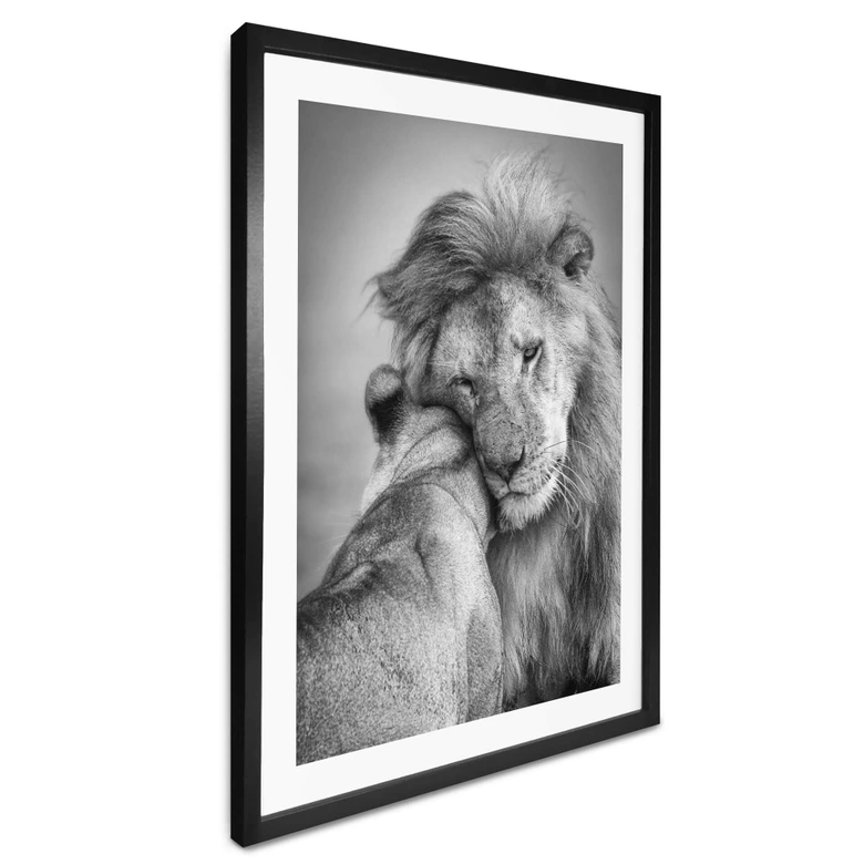 Poster Khataw - L'amour chez les félins 