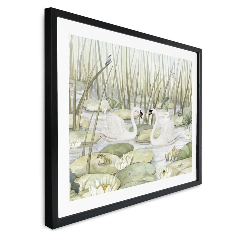 Poster Zwei Schwäne im Teich - Kikki Belle 