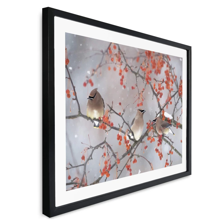 Poster Li - Drei Vögel in einer Winterlandschaft 