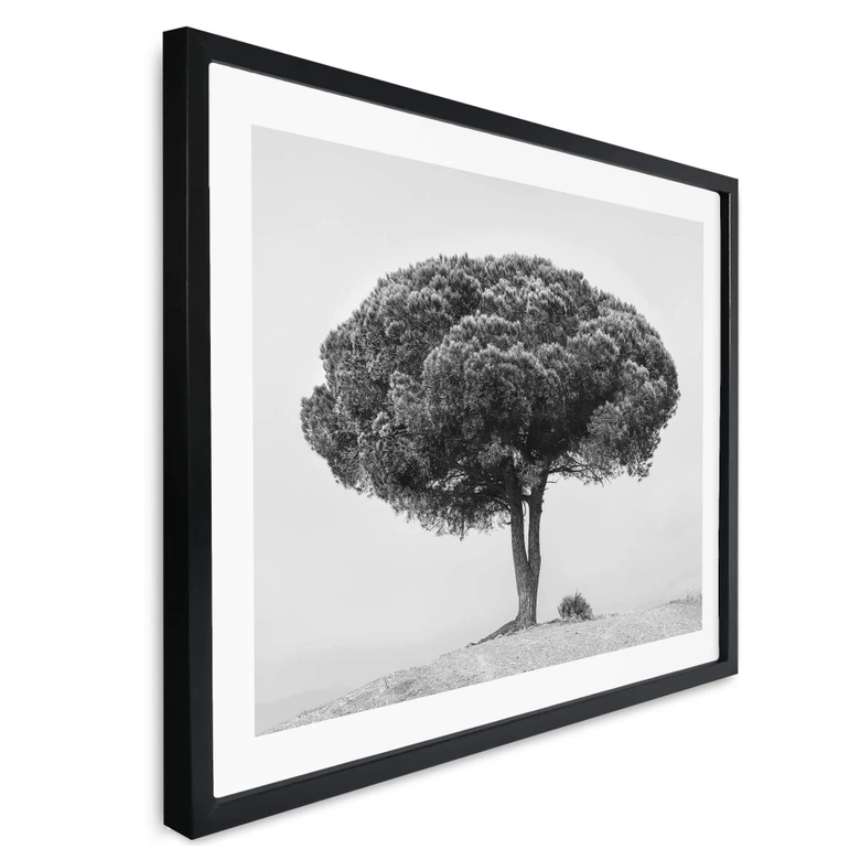 Plakat Martin - Drzewo w czerni i bieli 
