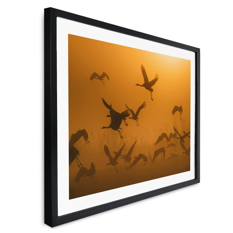 Plakat Rosenblatt - Stado ptaków o świcie 
