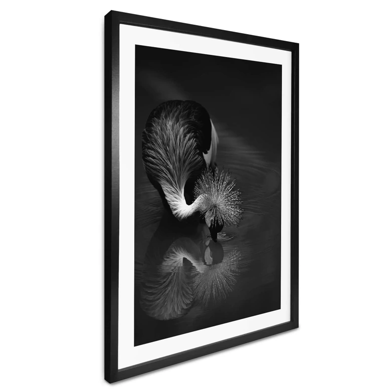 Poster Tjandra - Fågelreflexion - svartvitt 