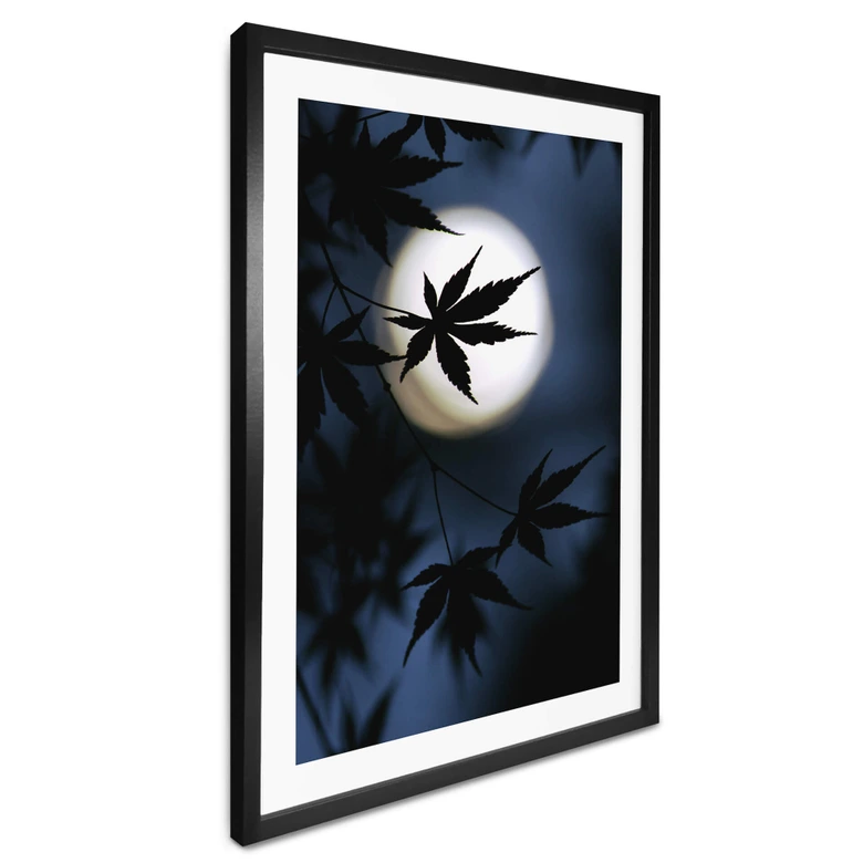 Plakat Tomihisa - Japoński klon w świetle księżyca 