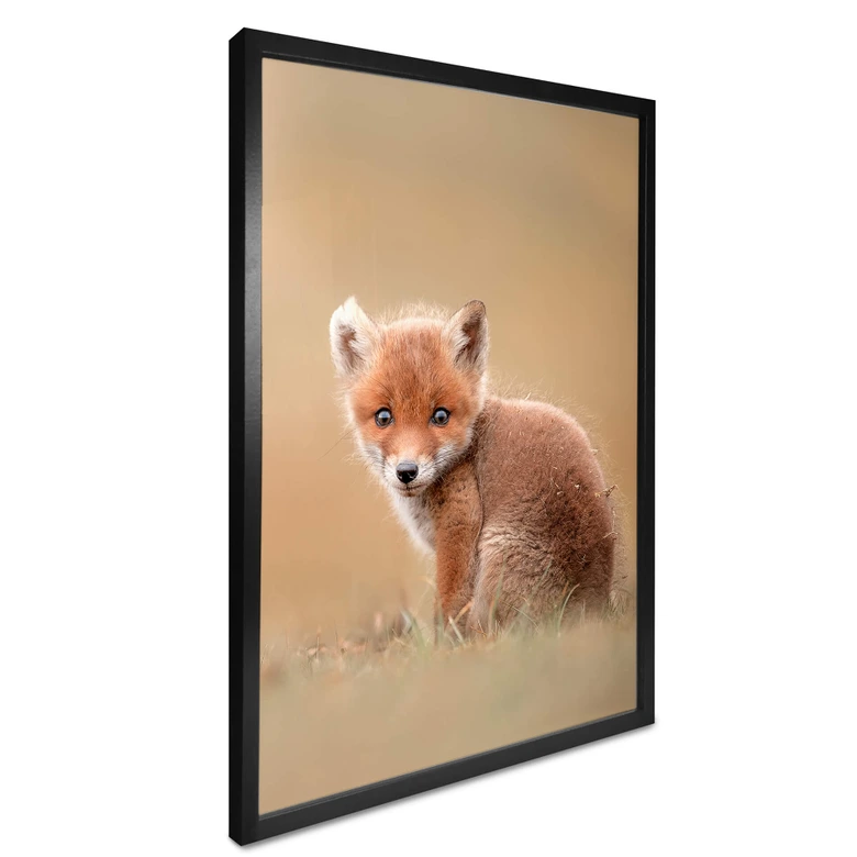 Plakat - van Duijn - Baby fox 